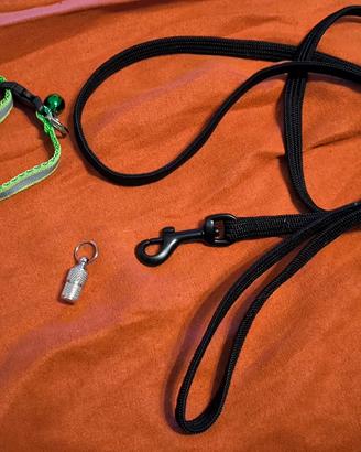 Guinzaglio, ciondolo identificativo e collare