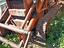 Immagine 1