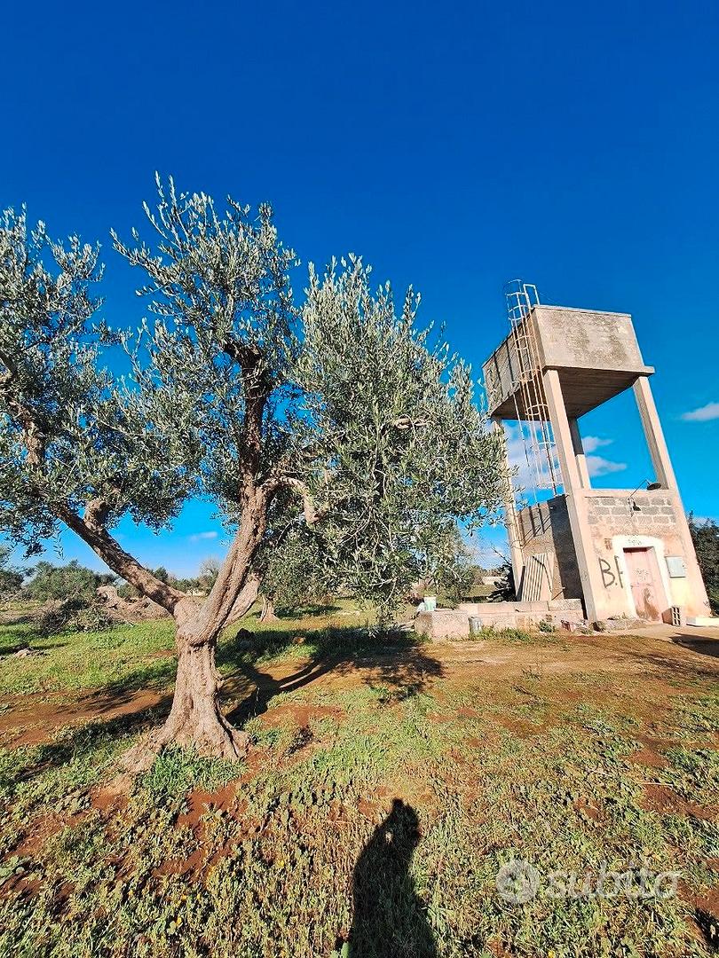 Terreno agricolo - Vista 6
