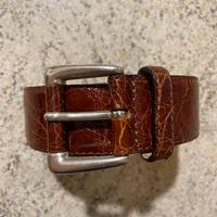 Cintura di Coccodrillo