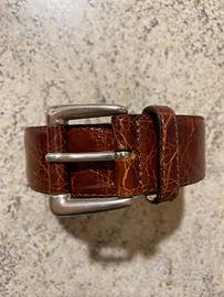 Cintura di Coccodrillo