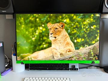 Monitor ASUS FHD 1920x1080