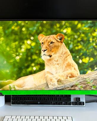 Monitor ASUS FHD 1920x1080