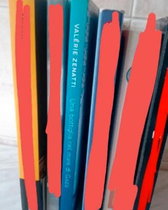 Libri per ragazzi in brossura 