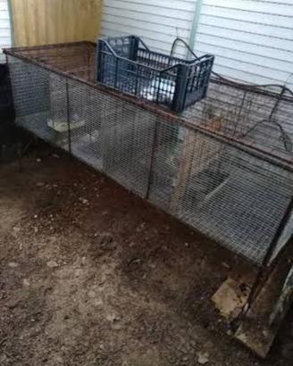 Gabbia conigli galline