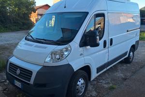 Ducato