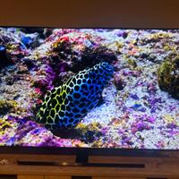 Tv Samsung QLED 75" 