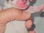 Immagine 5