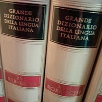 Grande dizionario della lingua italiana 