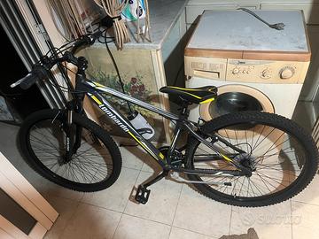 Bicicletta Lombardo