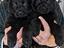 Immagine 22