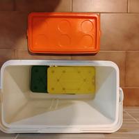 borsa termica frigo rigida