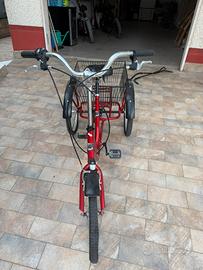 Bici tre riote adulto