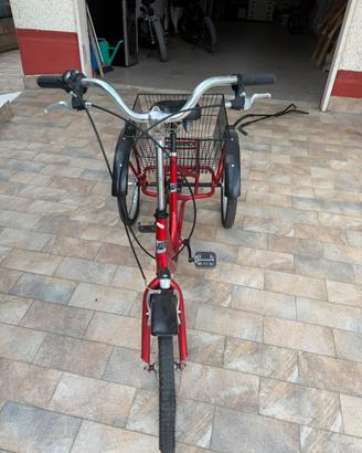 Bici tre riote adulto
