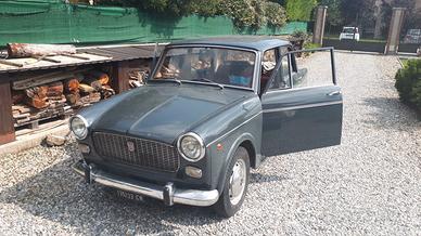 FIAT 1100 D (103 G) guida a DX - 1965