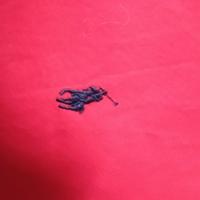 camicia Ralph Lauren/xl/rossa