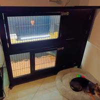 Conigliera/Pollaio/Gabbia con led