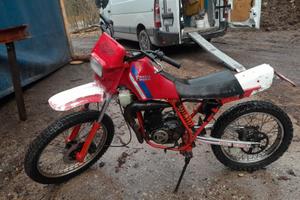 Fantic Rider