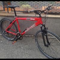 Bicicletta Specilized