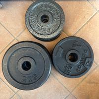 Dischi in ghisa, manubri e panca regolabile