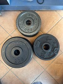 Dischi in ghisa, manubri e panca regolabile