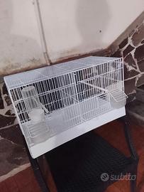 gabbia per canarini 