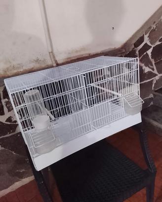 gabbia per canarini 