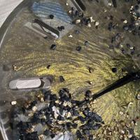 Orologio in resina grigio trasparente e oro