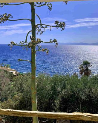 Grande villa singola per 8 p. libera fino al 19/7