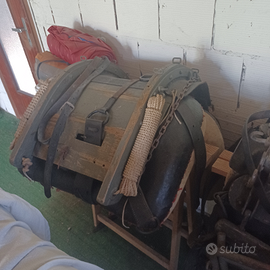 Basti militari per cavalli e muli e selle pariani