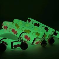 2 Collari Luminosi con Campanello ⭐ Nuovi ⭐