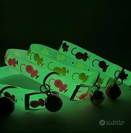 2 Collari Luminosi con Campanello ⭐ Nuovi ⭐