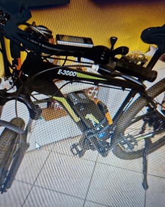 bici a pedalata assistita 
