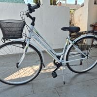 bicicletta torpado albatros da donna 