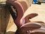 Immagine 1