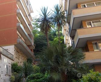 Ufficio Roma [Serafino20ufficioVU]