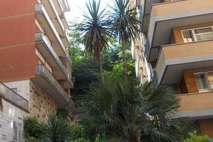 Ufficio Roma [Serafino20ufficioVU]