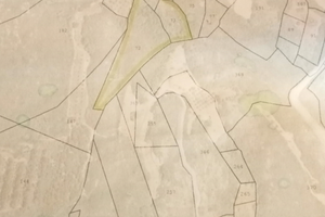 Terreno agricolo e boschivo su Mogoresu