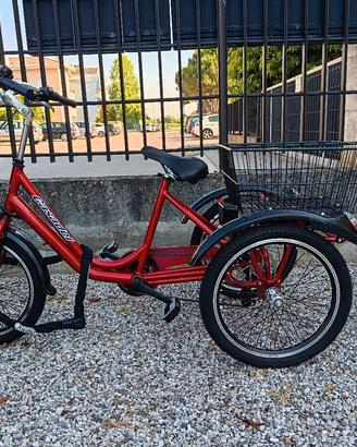 biciclette e-bike triciclo elettrico 