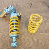 mono holins ttx gp rsv4