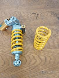 mono holins ttx gp rsv4