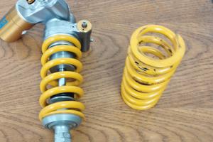 mono holins ttx gp rsv4