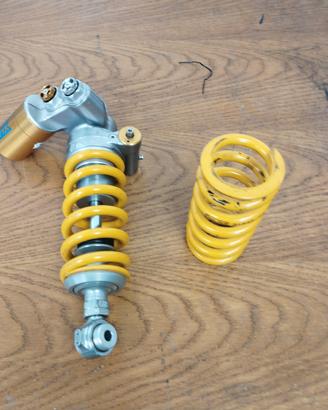 mono holins ttx gp rsv4