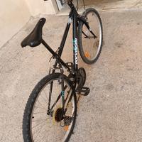 bicicletta mountain bike 