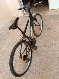 bicicletta mountain bike 