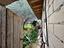 Immagine 14