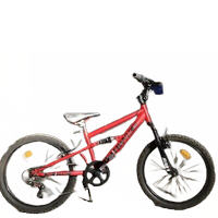 Bicicletta ragazzo 7-14 anni