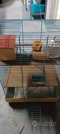 gabbia per criceti