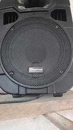 coppia casse biema 250w