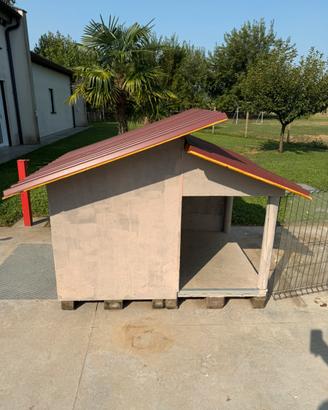 Casetta per cane